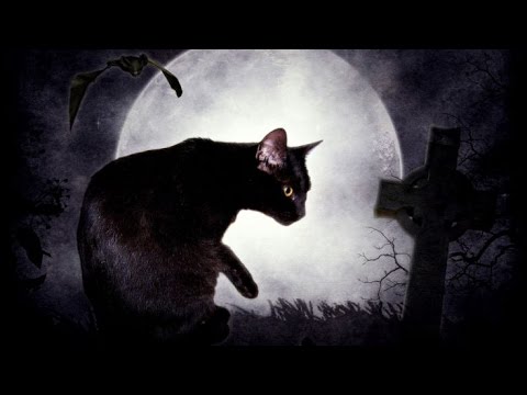 [ASMR] soft reading - The Black Cat by Edgar Allan Poe