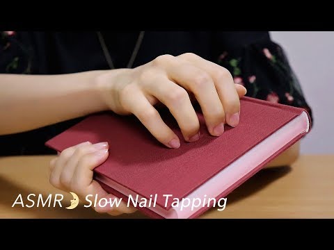 [ASMR] Slow Nail Tapping / Notebooks / No Talking