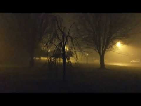 VLOG - Foggy Night 🌑 🌫🌙 |Vancouver B.C| Spooky Tree