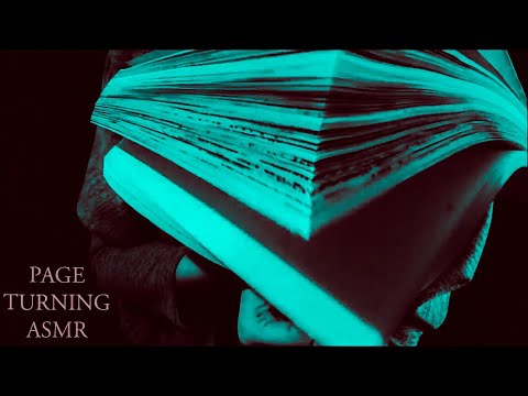Prim ASMR |No Ads| 1 HOUR of Page Flipping (No Talking)