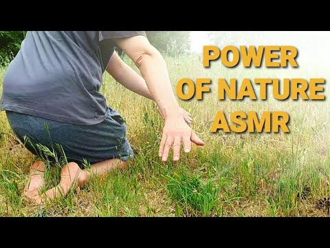Appreciate the power of nature [ASMR]