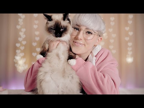 [ASMR] World's Most Docile Cat Breed Purrs You To Sleep (wear headphones for ultimate tingles)