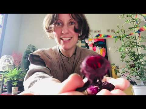 Asmr Opening crinkly roses