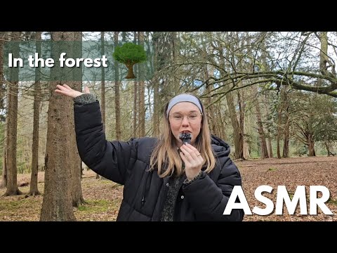 ASMR In the forest + Wooden triggers