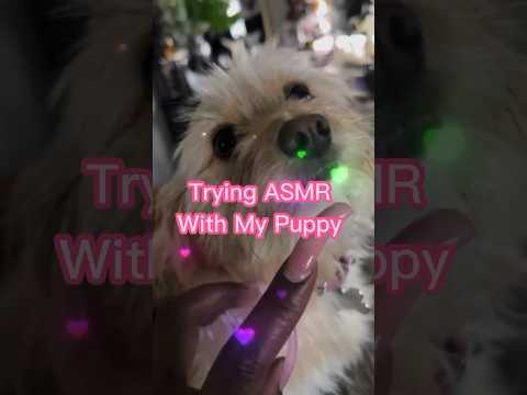 First Time ASMR With My Puppy | Getting Her To Relax