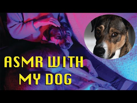 ASMR | Whispering/Rambling With My Dog!