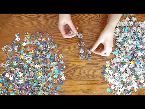ASMR Counting Puzzle Pieces