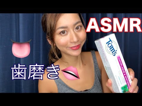 【ASMR】【音フェチ】歯磨きタイム、ブラッシング
