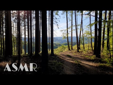 Rozklepaná procházka ASMR (Lo-fi)