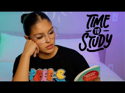 ASMR Study With Me 📚 | Personal Attention