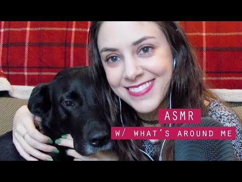 ASMR | Using What's Around Me (Whispered, Tapping, Scratching, 🐶)