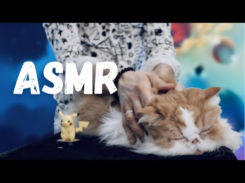 ASMR | Le plus RELAXANT des CHATS 😻 (massage, brossage, câlins)