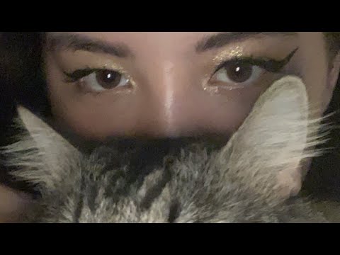 ASMR with my Maine coon cats