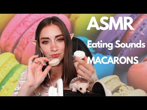 ASMR Eating Sounds MACARONS - Kotyatherapy | АСМР Котя - итинг МАКАРОН | asmr_kotya
