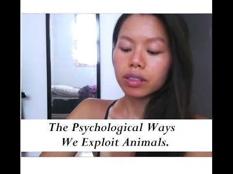 The Psychological Ways We Exploit Animals