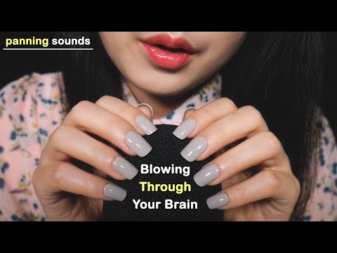 ASMR Blowing Through Your Brain | Mic Touching & Scratching | Panning Sounds | Foam Mic (No Talking)
