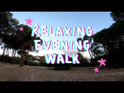 ASMR 🍃 Relaxing Summer Evening's Walk in Nature 🍃