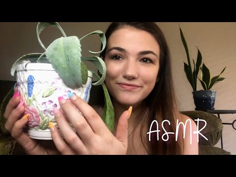 ASMR Showing You My Plants 🌱 Whispers, Tapping, Scratching