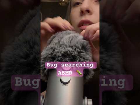Bug searching ✨🐛 • ASMR •