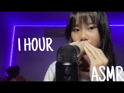 ASMR 1 hour trigger assortment♡(for sleep and relaxation😴🫶)