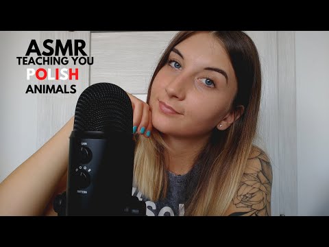 ASMR| TEACHING YOU POLISH : ANIMALS PT.2 (soft spoken)