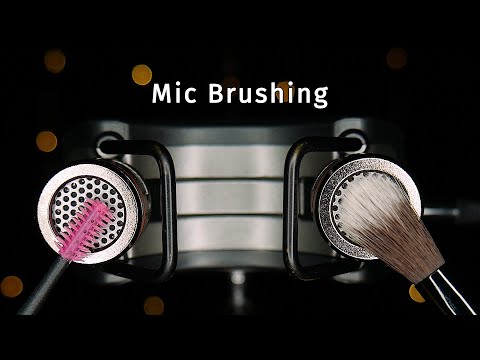 ASMR Close Up Mic Brushing | Brain Tingling Tascam Triggers | No windshield (No Talking)