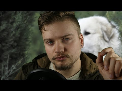 Whispering about the Pyrenean Mountain Dog (ASMR)