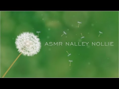 The Tales of Princess Nalley Nollie ~not ASMR~