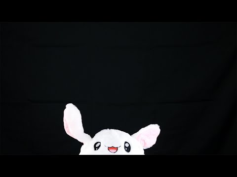 Cute ASMR | Follow the White Rabbit
