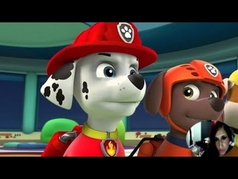 Pups Save the Penguins/Pups Save a Dolphin Pup Paw Patrol (Full Episodes) - Video Review