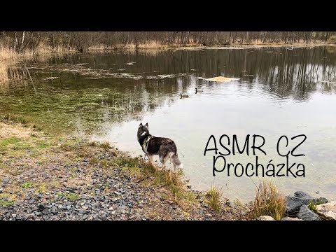 ASMR CZ Uklidňující procházka přírodou - šeptání a jemné zvuky🌲🐶✨