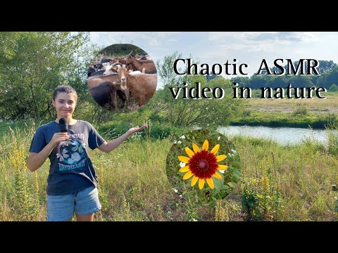 ASMR-Chaotic video but relaxing triggers in nature(Bird sounds,bells,crickets etc)