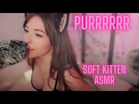 Playful Kitten ASMR 💜  Cute Tingles 💜  Thank you for 100k subs! 💜