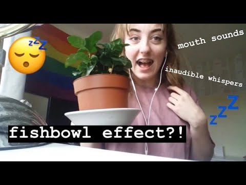 asmr | the fishbowl effect! mouth sounds, inaudible whispers, tapping & visuals ♡