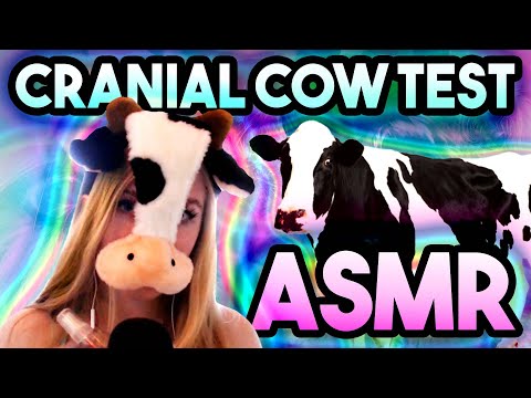 ASMR🐄The CRANIAL COW Test🐄TONS of Audio & Visual Triggers!!