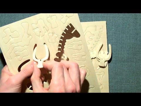 Asmr assembling a plywood model kit