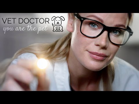 ASMR | VETERINARIAN EXAM ROLE PLAY | Personal Attention | Isabel imagination (sponsored by Raycon)