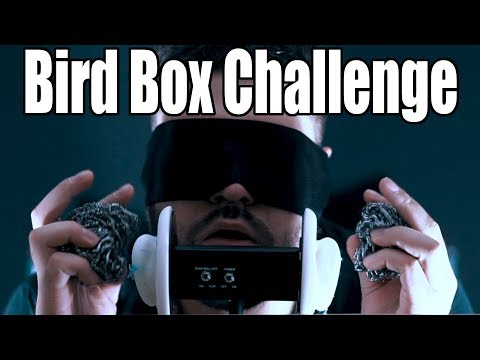 ASMR BIRD BOX CHALLENGE