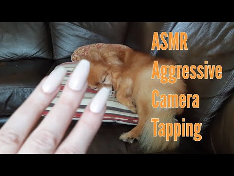 ASMR Aggressive Camera Tapping(Lo-fi)
