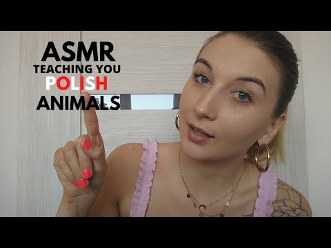 ASMR| TEACHING YOU POLISH : ANIMALS (soft spoken)