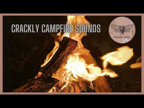 ASMR || Crackly campfire sounds; gentle whispers, background ambience with the bois 😴🔥