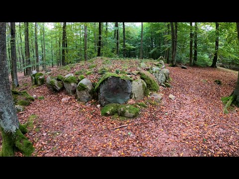 Visiting prehistoric and medival burial mounds hidden deep inside a forest (binaural)