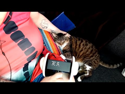ASMR Cat purring (some whispers)