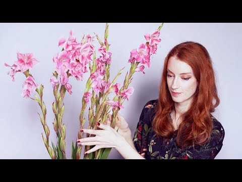 Softly Spoken Plant Ramble 🌿 For Sleep / Study 💐ASMR