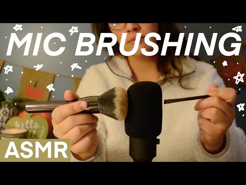 ASMR | Mic Brushing and Personal Attention ♡☽ (whispers, mic/camera brushing)