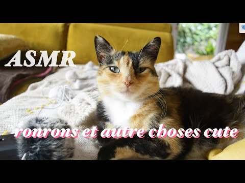 ASMR FRANÇAIS - Je vous présente mon chat et YouCare ! (Ronronthérapie, whispers)