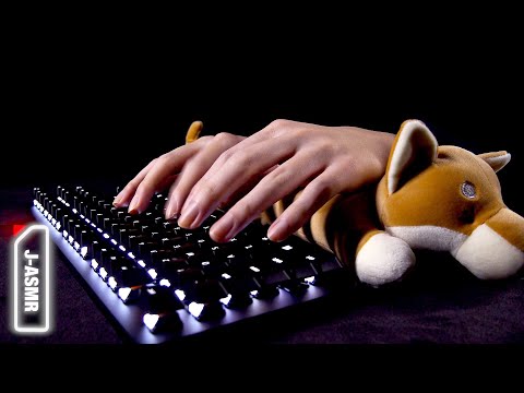 [ASMR]Razer BlackWidow Lite 安定のメカニカルキーボードをタイピング(オレンジ軸) - Keyboard Typing Sounds(No Talking)