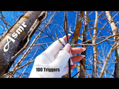 Asmr Winter 100 Triggers in 1 minute
