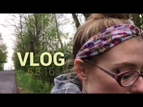 VLOG 5.3.16 | Dogs, Trees, Sheds & Bees