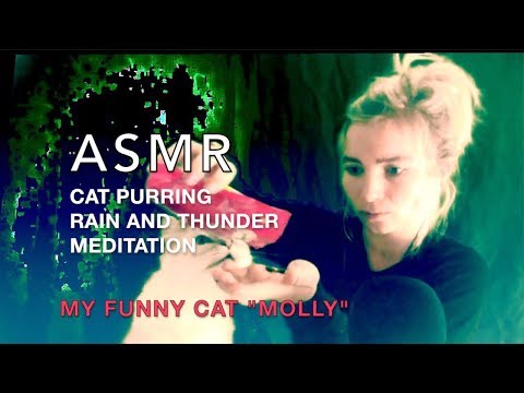 😻 ASMR Meditation mit Räucherstäbchen und Katzenschnurren (Rain Thunder Coffee Edition)